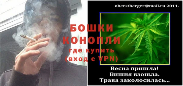 стафф Осташков