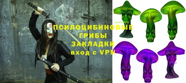 стафф Осташков