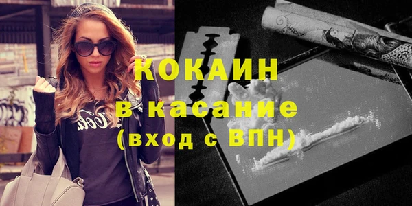 стафф Осташков